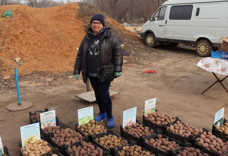 Значение слова ЗАСАДИТЬ. Что такое ЗАСАДИТЬ?